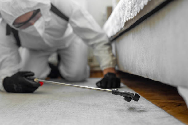 Professional Bed Bug Control technician working in Essex County County, VT